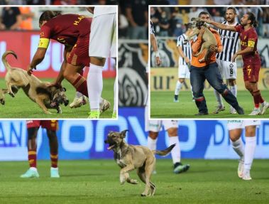 ورود سگ به دیداری در سوپر لیگ ترکیه و قطع بازی