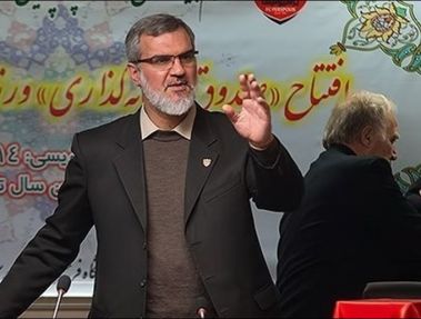 رویانیان: سازمان خصوصیسازی دچار سیاسیکاری شده است