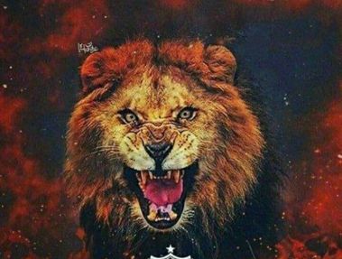 امیدواری های یک پرسپولیسی برای موفقیت