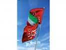استوری زیبای مربی با دو پرچم مقدس